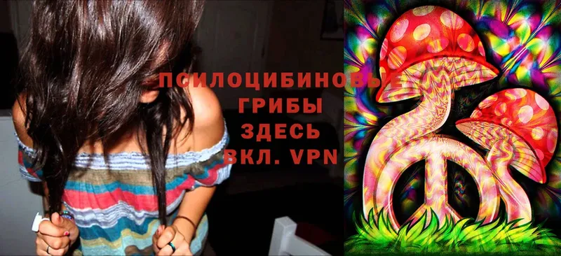 OMG tor  Кизляр  Галлюциногенные грибы Psilocybine cubensis  магазин продажи  