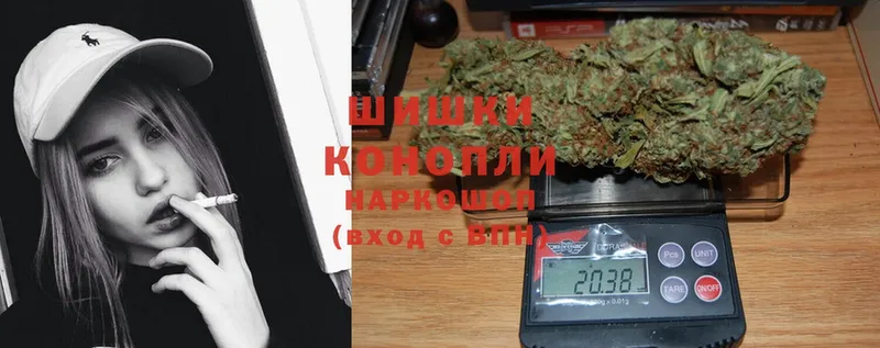 Конопля OG Kush  гидра сайт  Кизляр  купить  